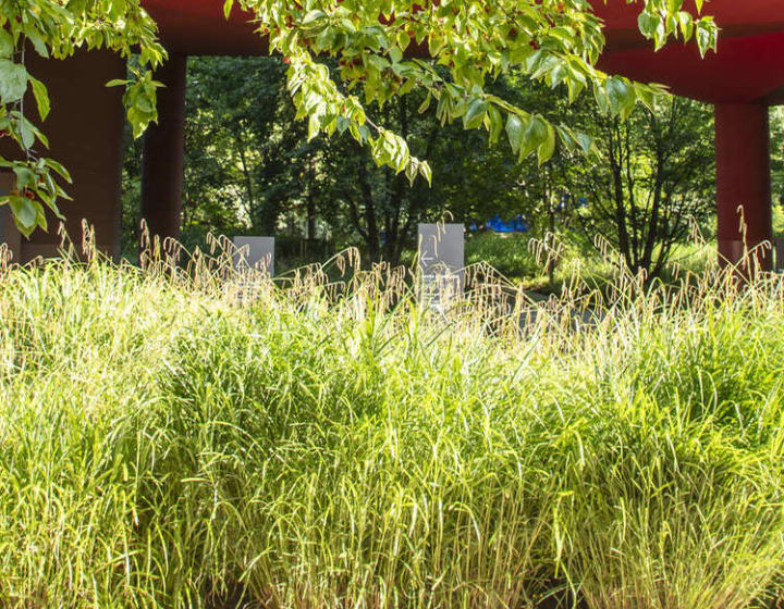 Jardin d’été au musée du quai Branly-Jacques Chirac