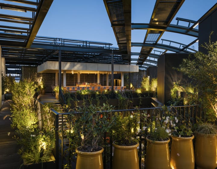 Le Roof _ Hôtel Madame Rêve