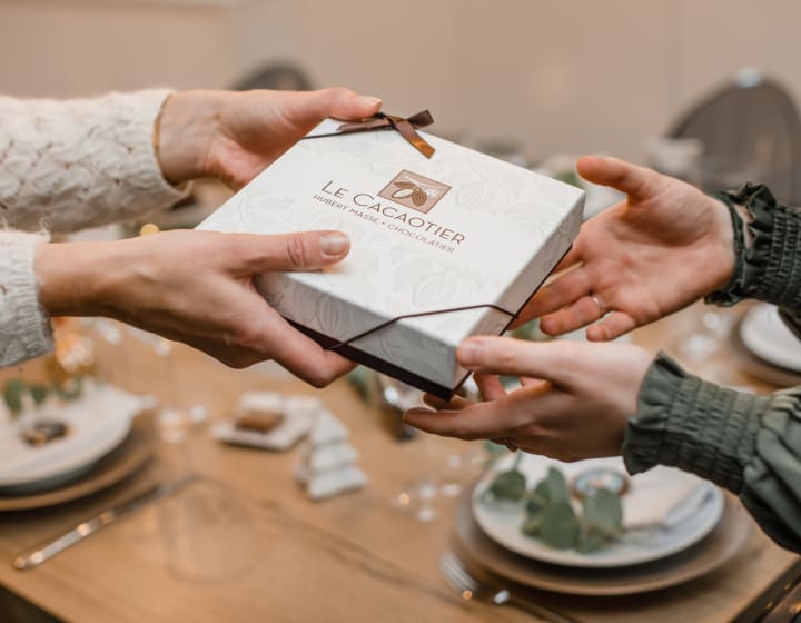 Le cacaotier Noël 2021