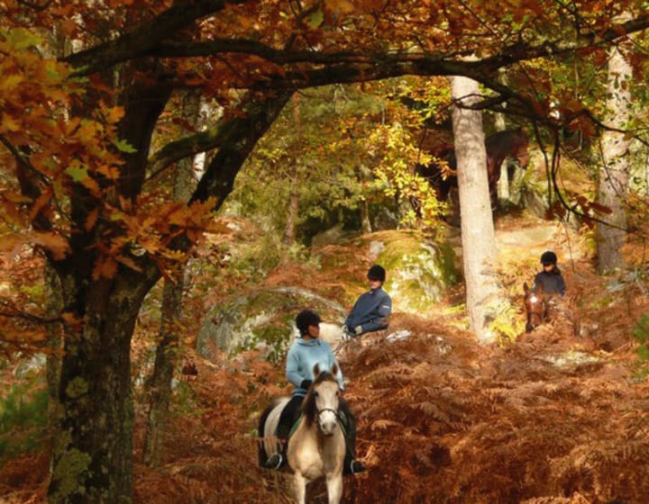 Parc Naturel Regional du Gatinais francais
