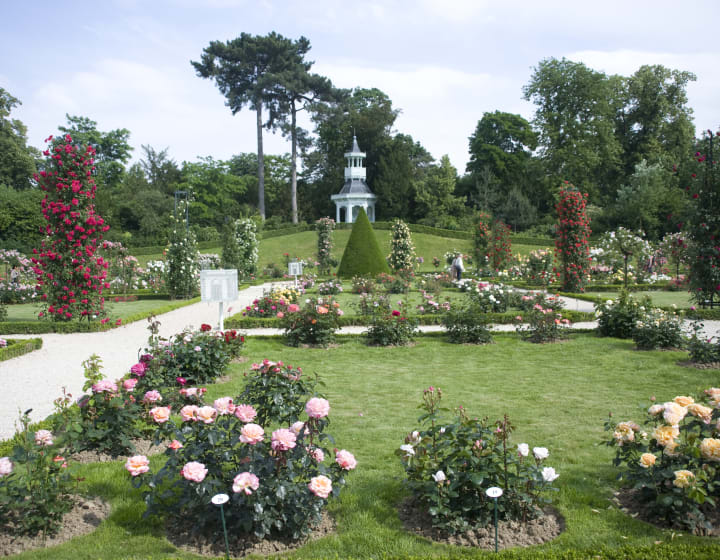 Parc de Bagatelle - Bois de Boulogne