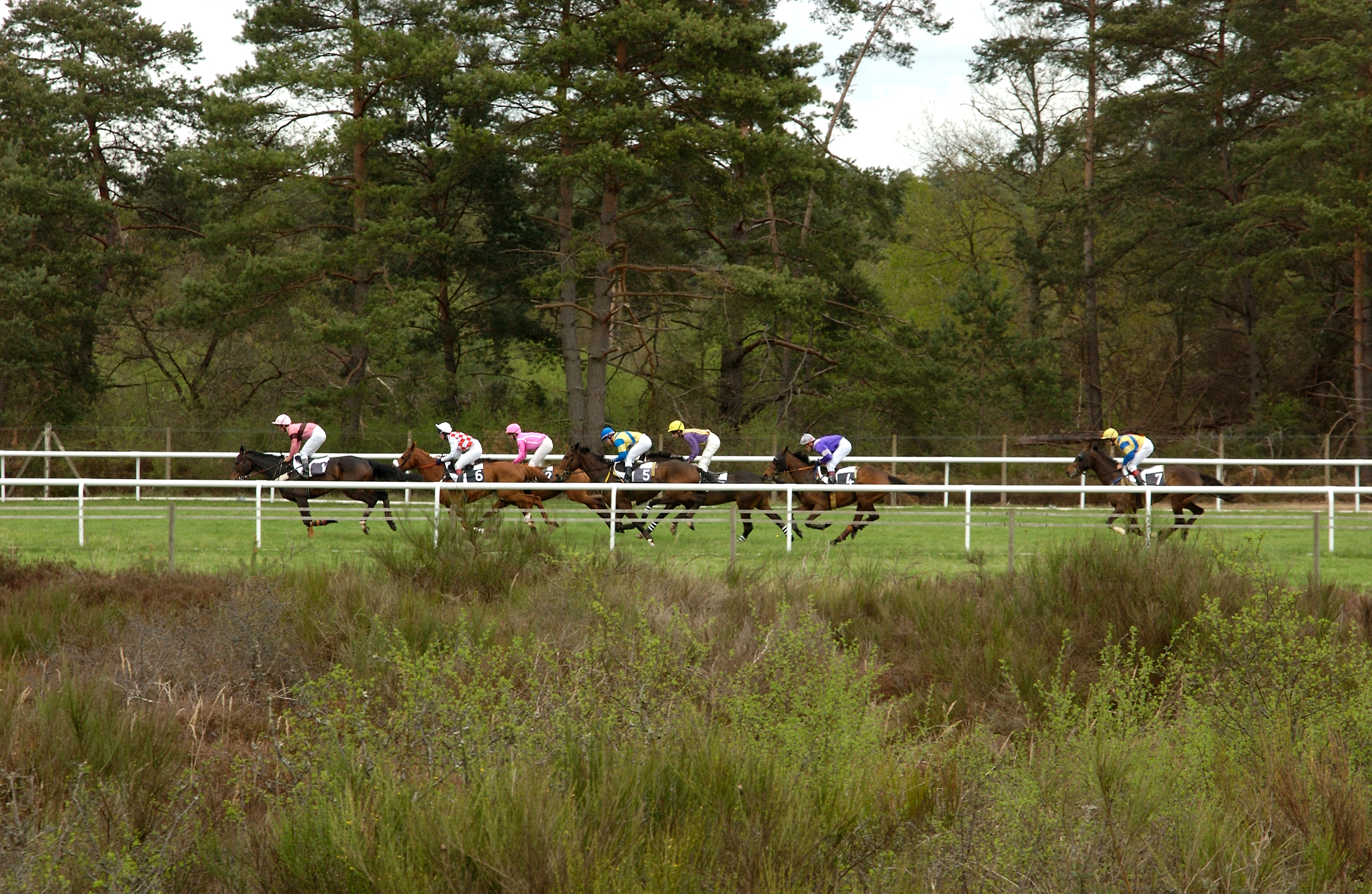 Hippodrome de la Solle%252C Fontainebleau 2003 Hippodrome de la Solle