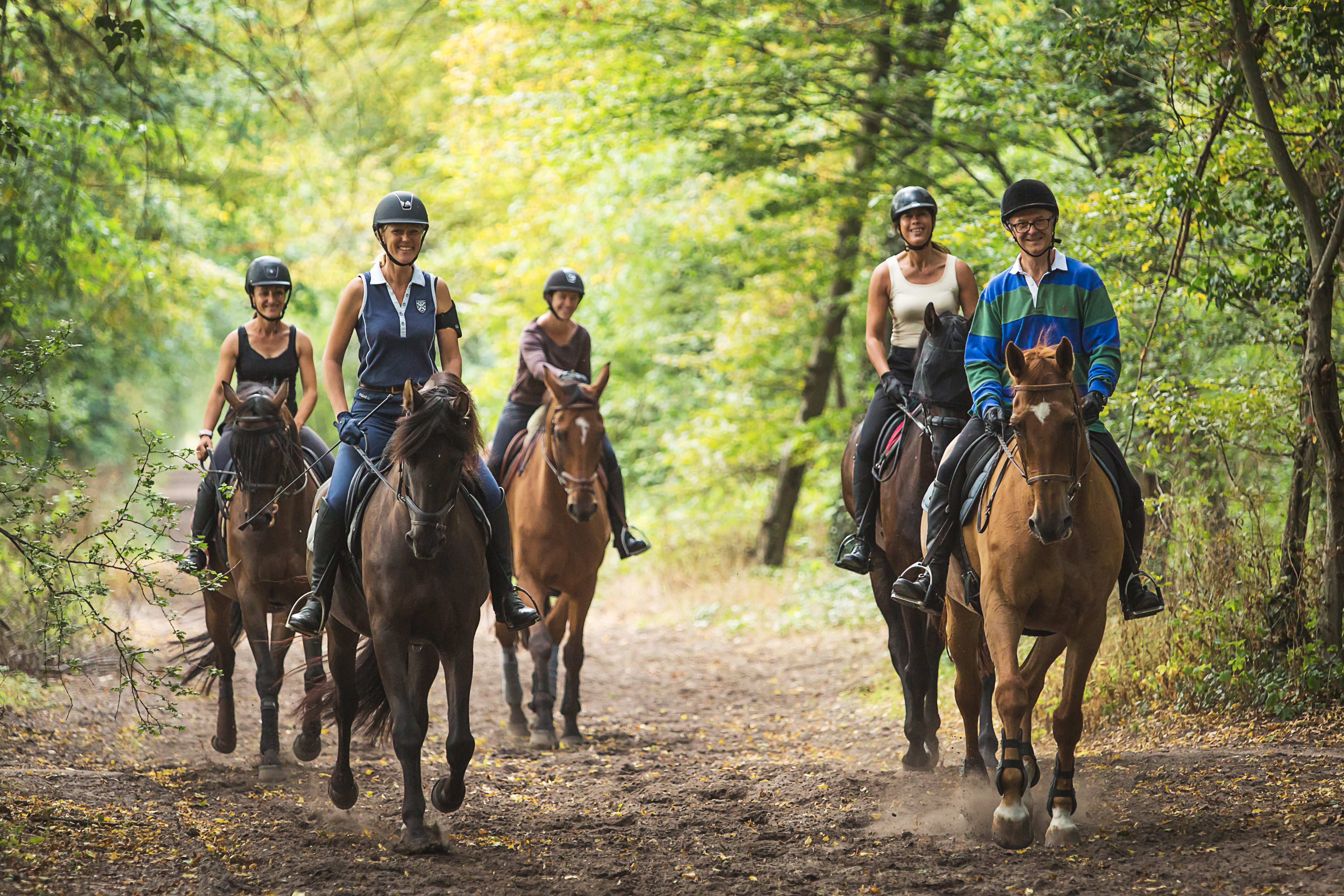 Horse Holidays%252C centre de randonnées équestres%252C Maisons-Laffitte. R. Emereau%252FHorse Holidays