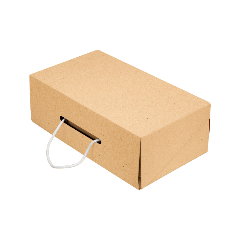 Corrugated Brief Case Style Box packaging example