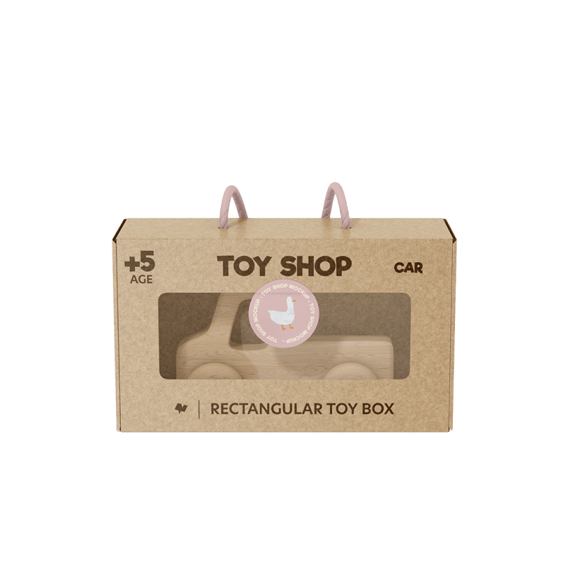 Custom Toy Box packaging example