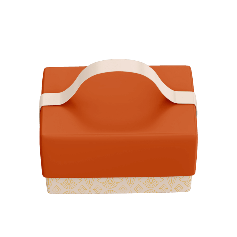 Briefcase Style Rigid Box packaging example