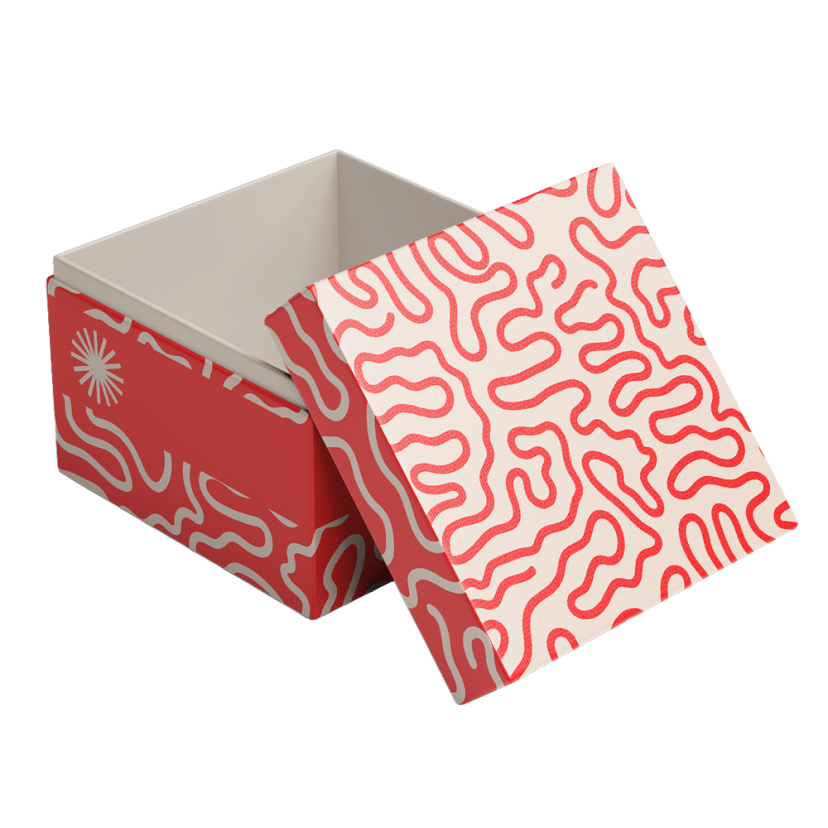 Two Piece Rigid Box packaging example