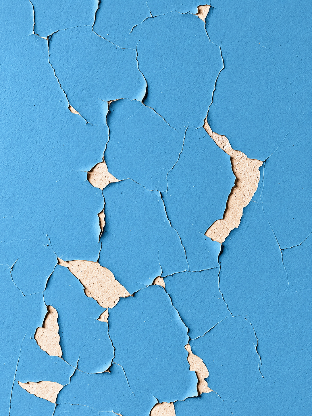 The 7 Most Common Causes of Peeling Paint and How to Prevent Them