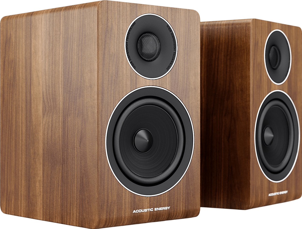 Acoustic Energy AE300