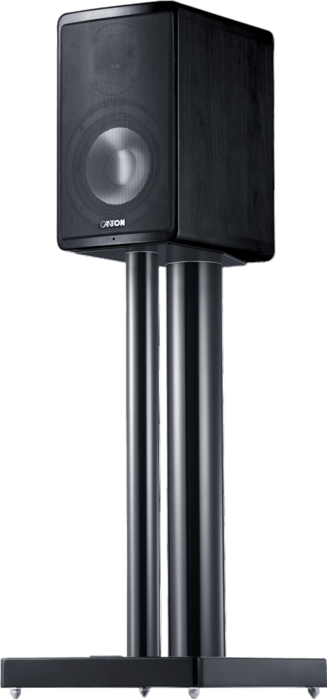Canton Ergo 620