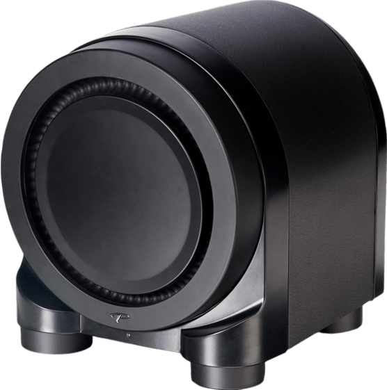 Paradigm SEISMIC 110