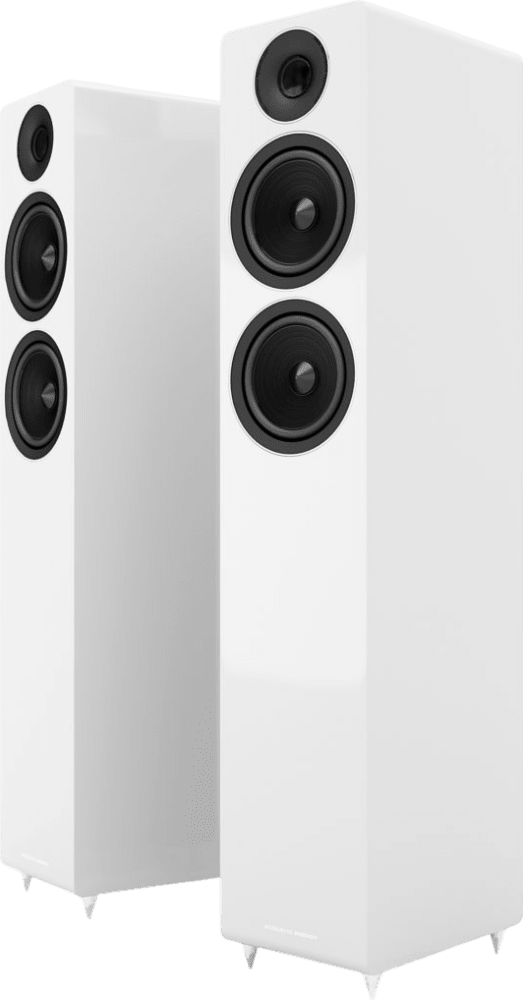 Acoustic Energy AE309