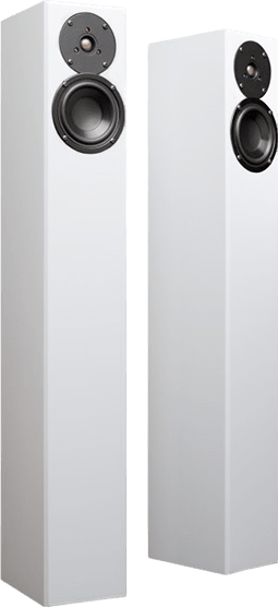 Totem Acoustic ARRO