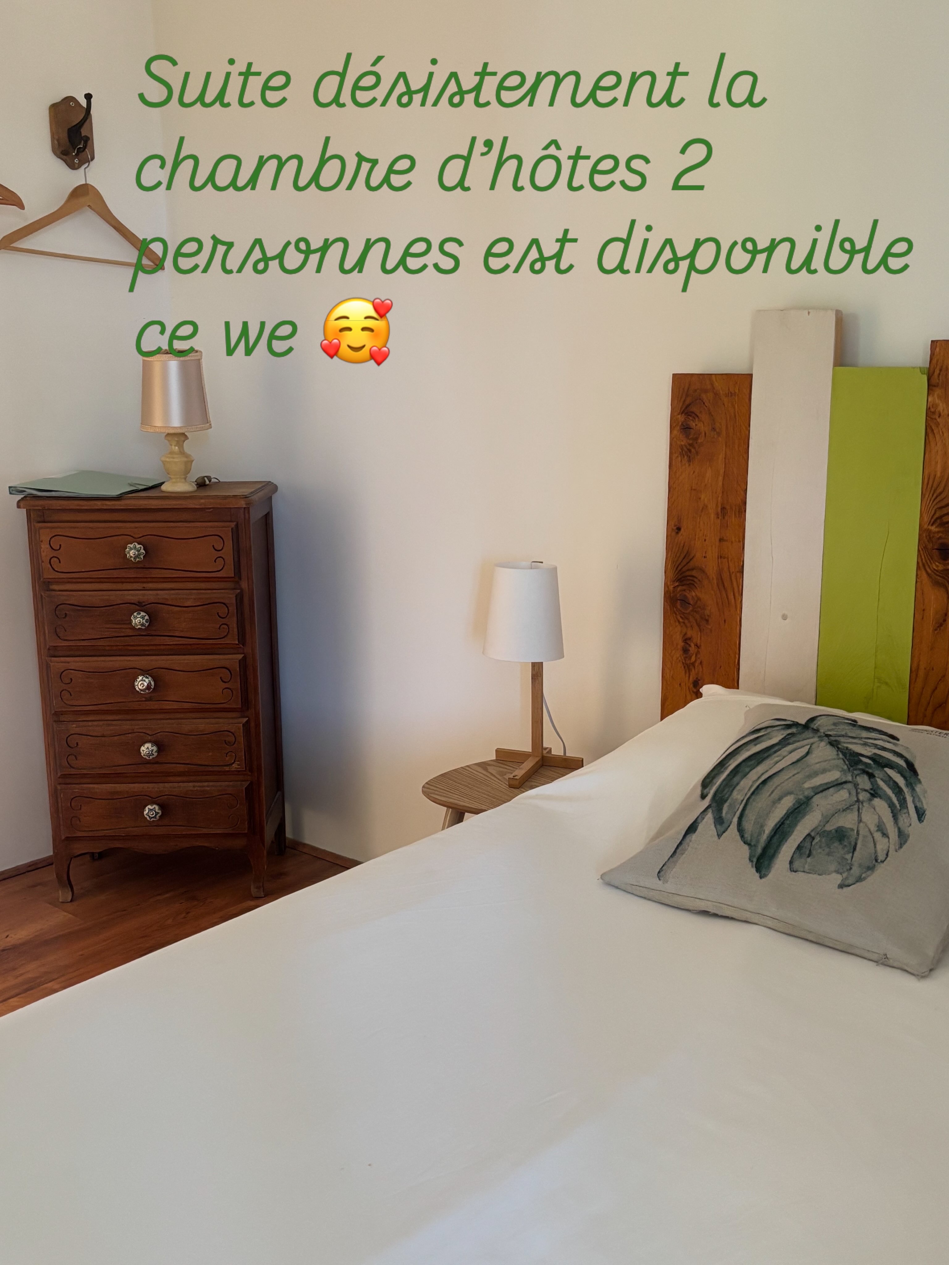 photo n° 5 de chambre verte