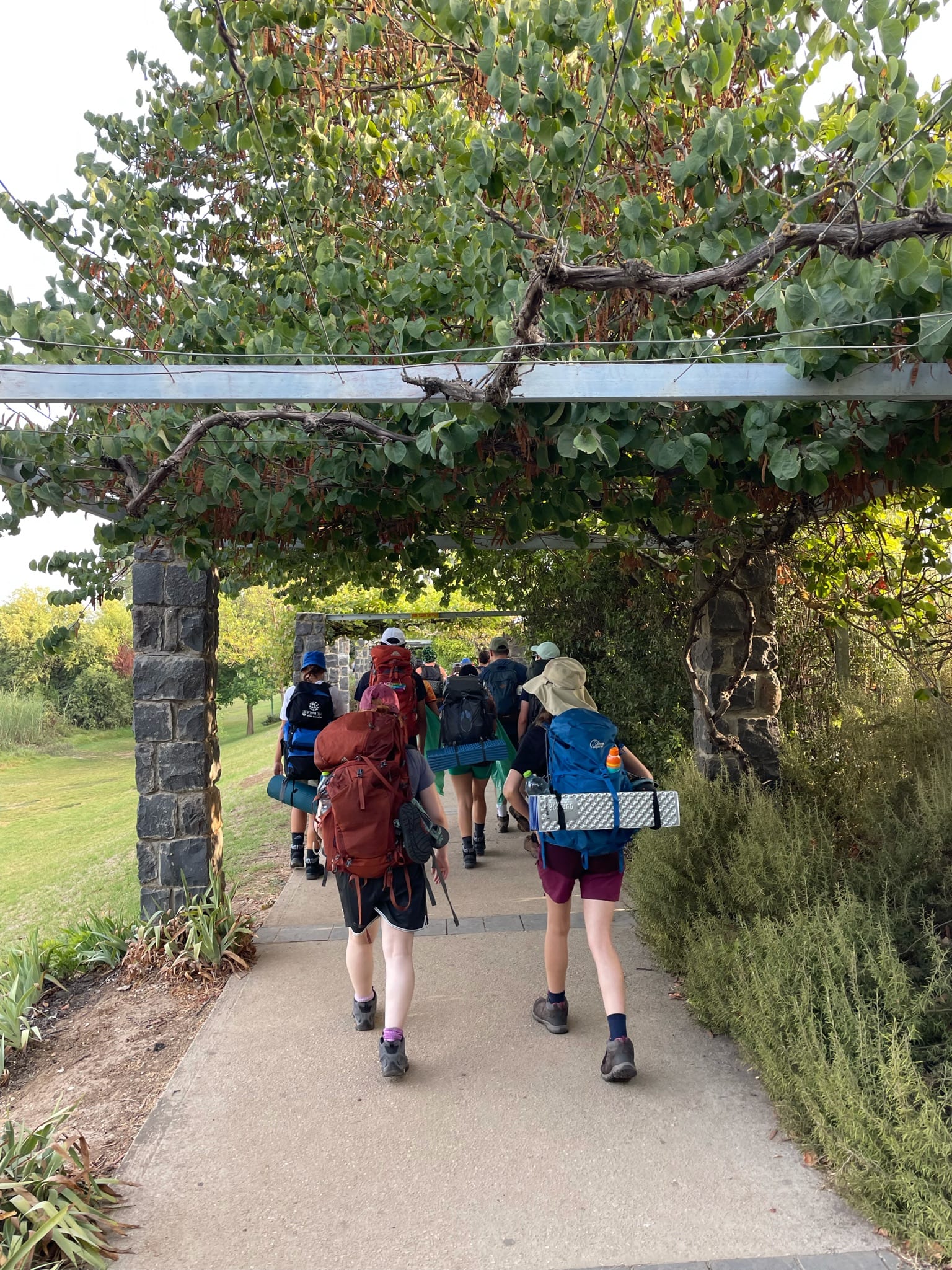 Participants working out during a fitness class.