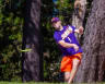 Trent Somerville