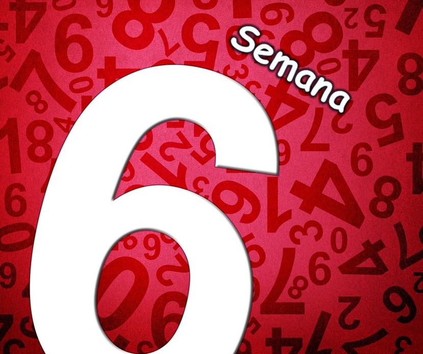 HORÓSCOPO SEMANAL= #Energía 6 ( 8 al 14 de Octubre)