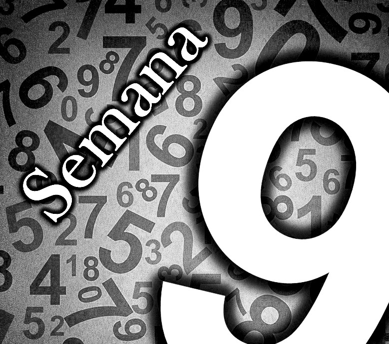 HORÓSCOPO SEMANAL= #Energía 9 ( 1 al 7 de Enero)