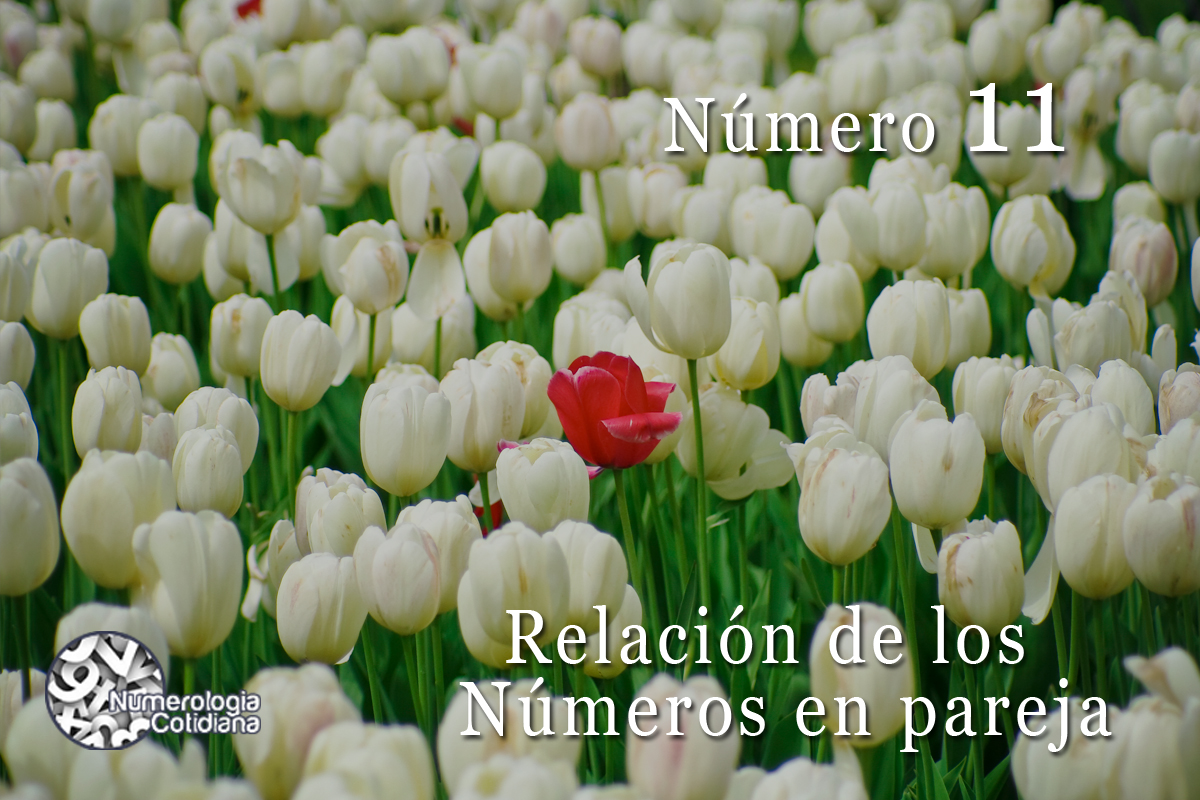 Número 11: ¿Cómo se relacionan los números?