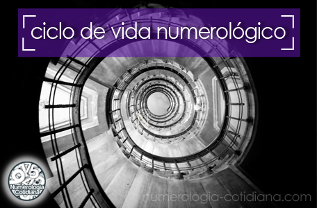 Calcula tu ciclo de vida numerlógico