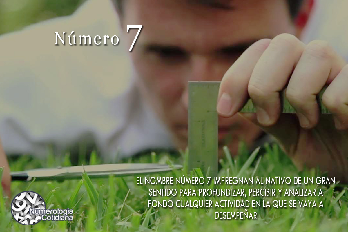 Nombre Número 7