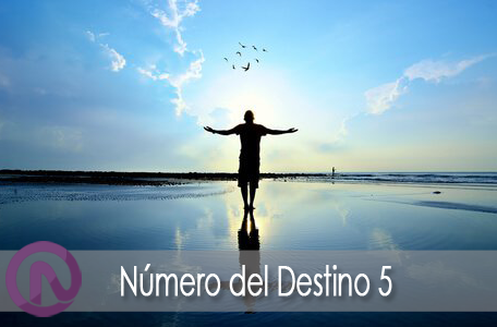 Número del Destino 5