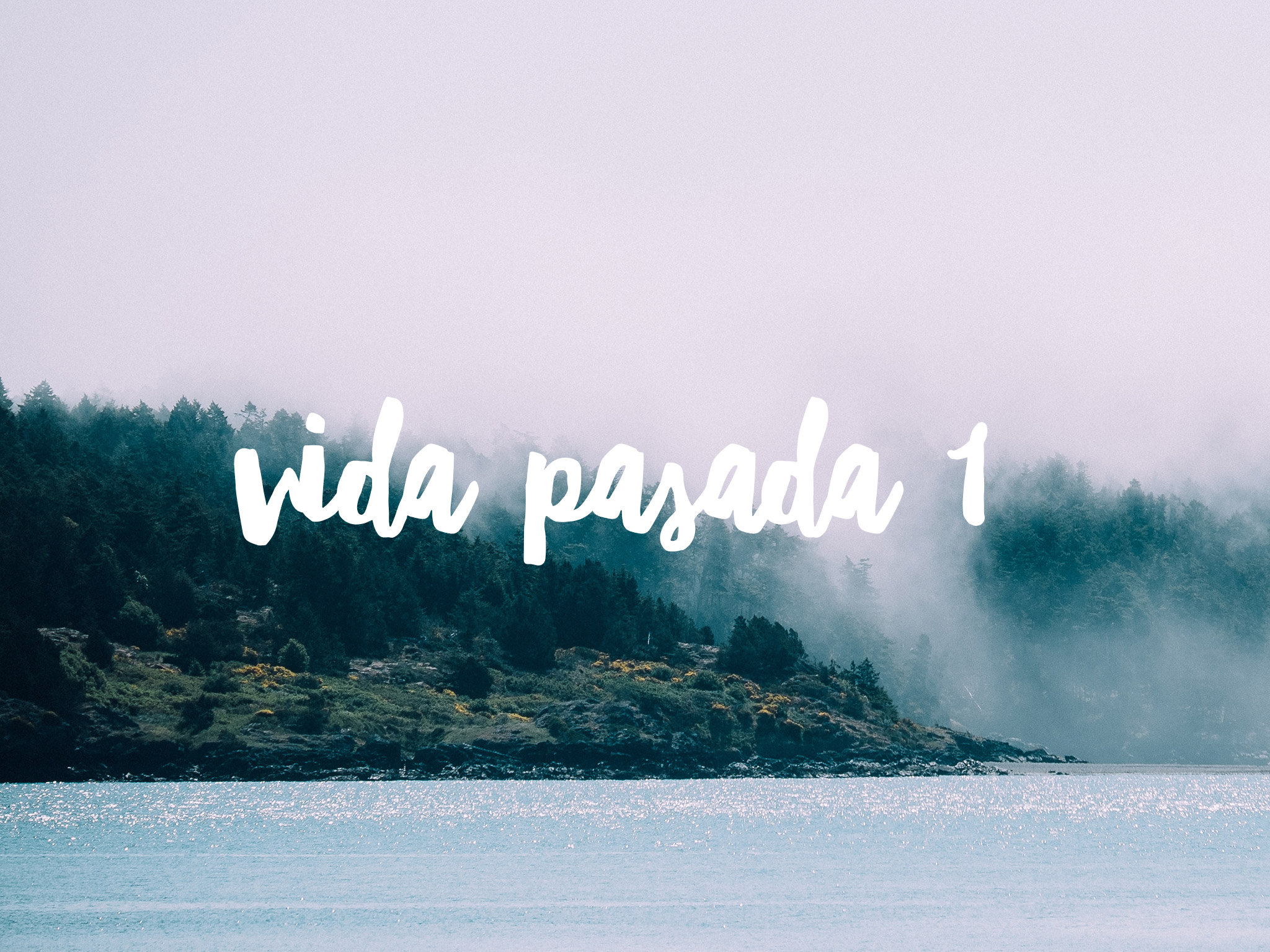 Vida Pasada Número 1