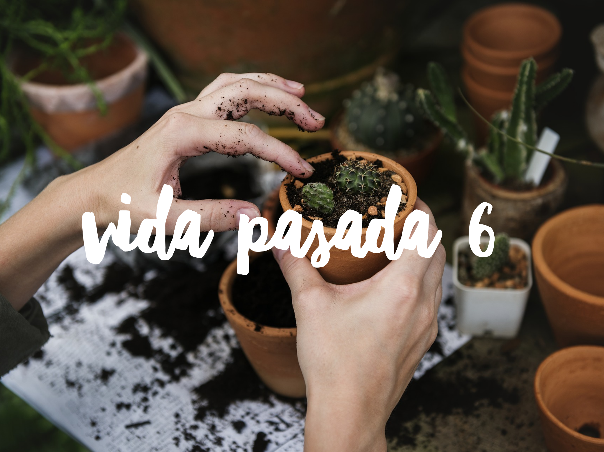 Vida Pasada Número 6