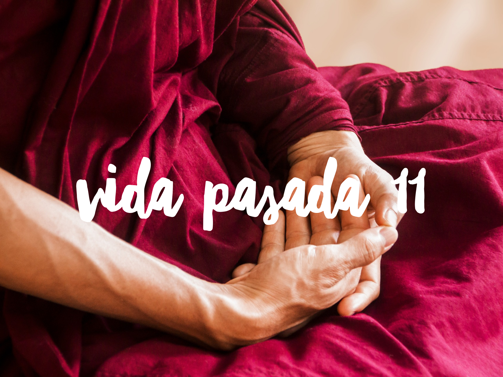 Vida Pasada Número 11