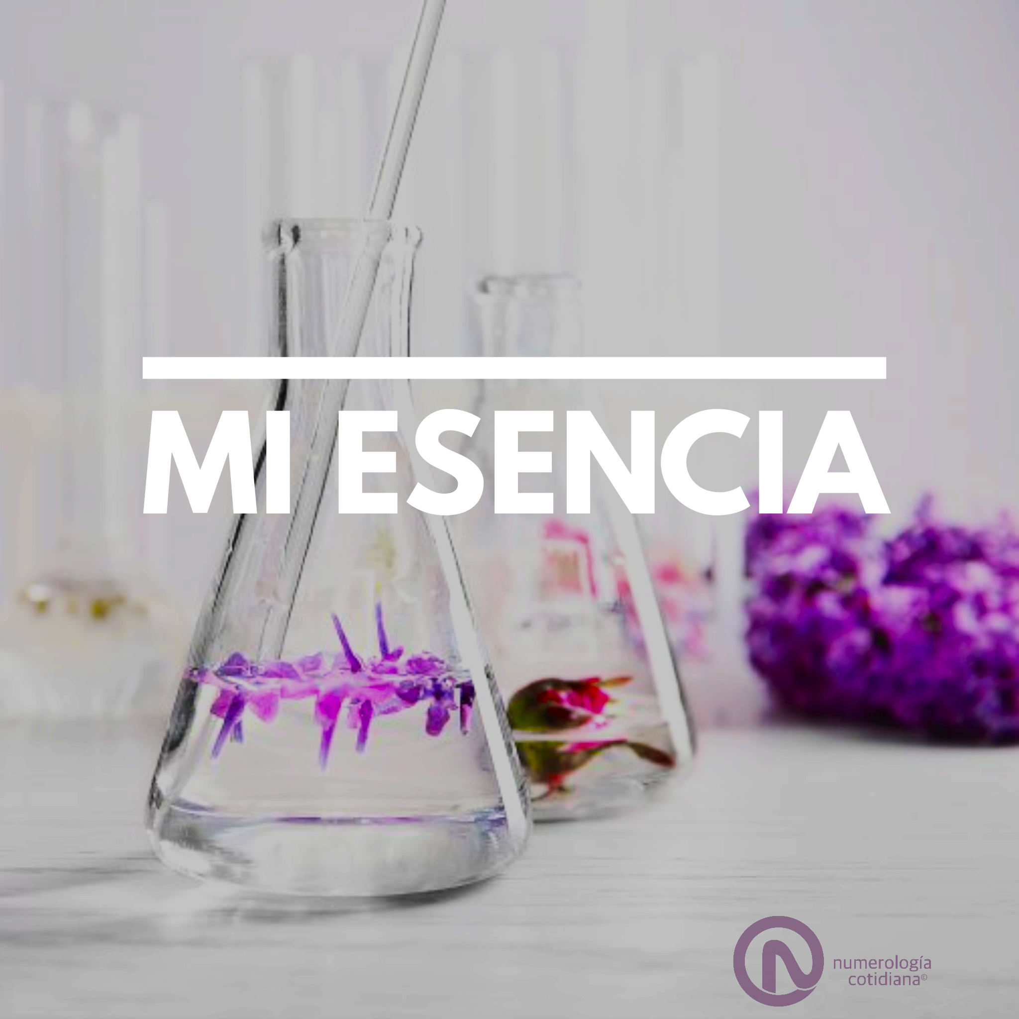 Mi Esencia