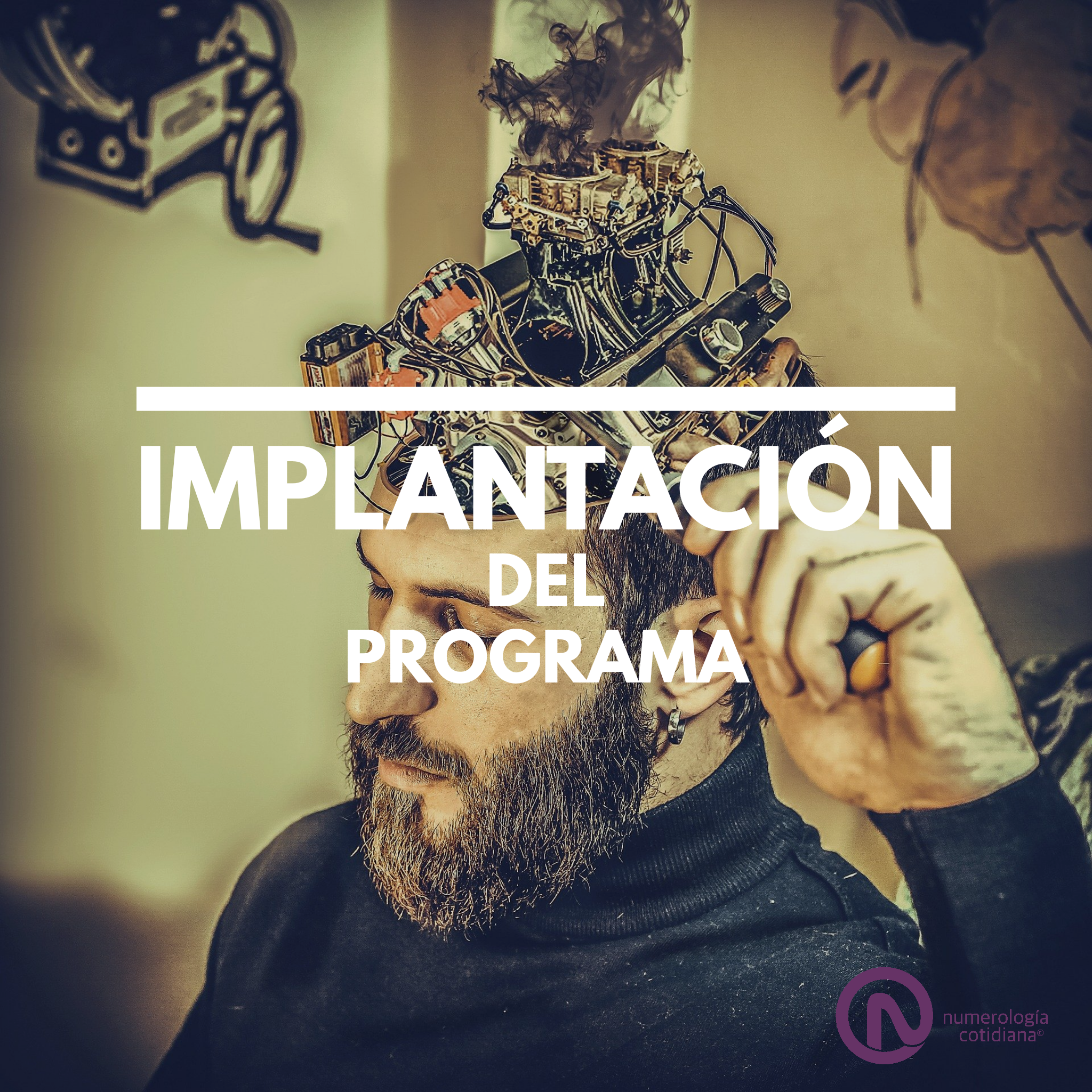 Implantación del Programa