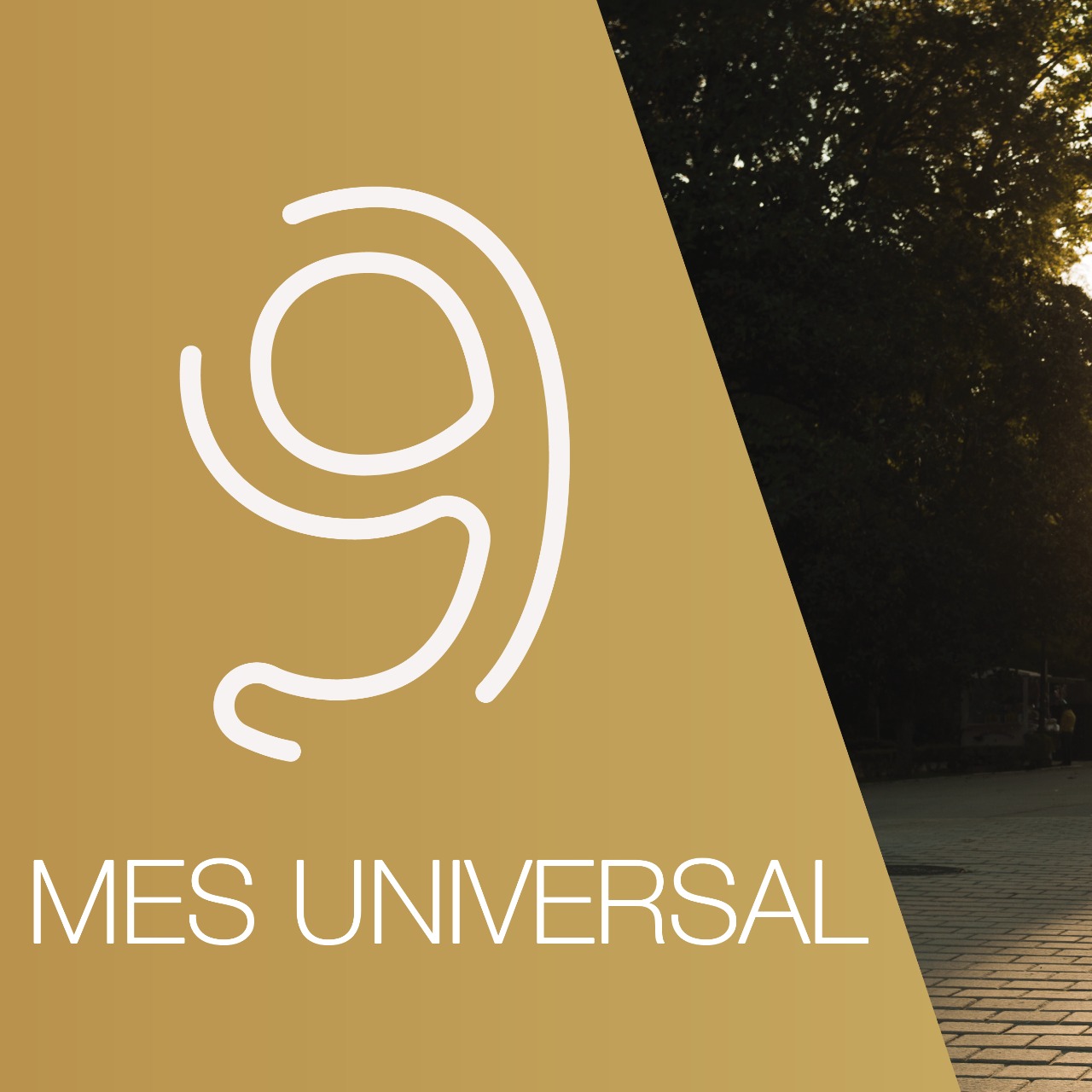 MAYO MES UNIVERSAL 9