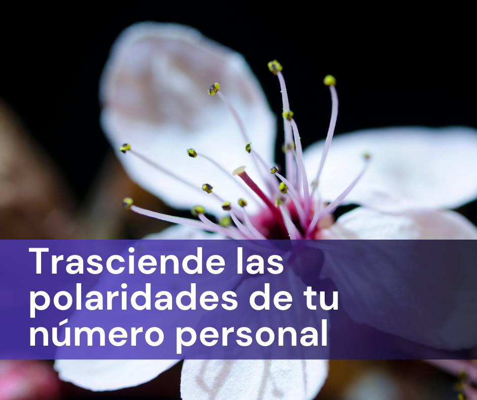 TRASCIENDE LAS POLARIDADES DE TU NÚMERO PERSONAL 1, 2 y 3