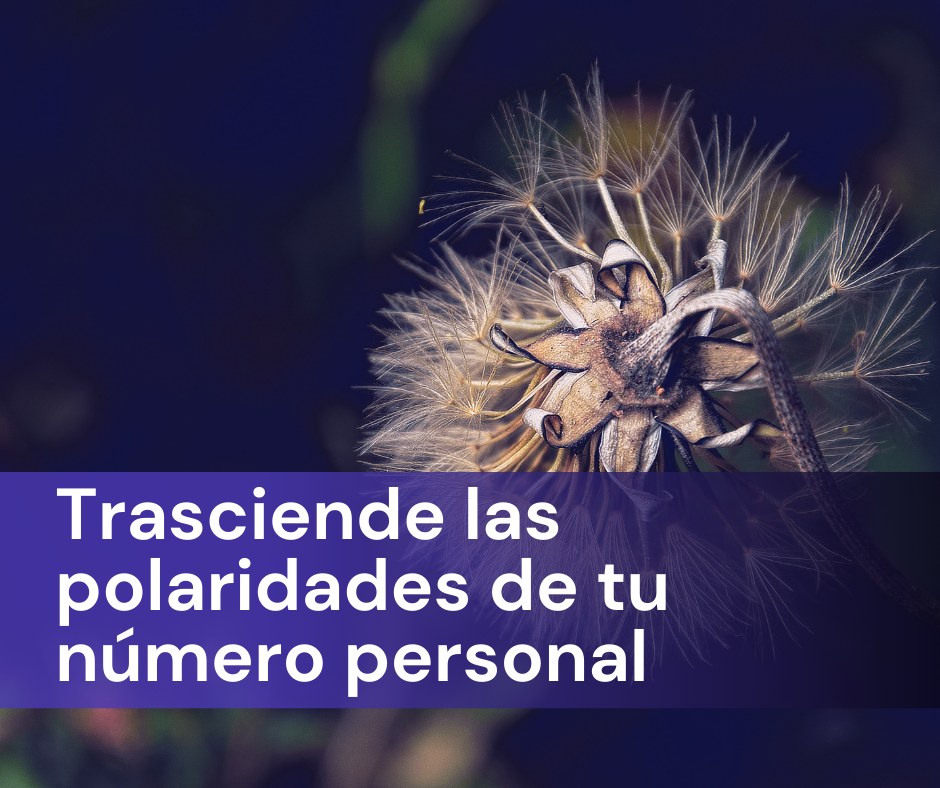 TRASCIENDE LAS POLARIDADES DE TU NÚMERO PERSONAL (4, 5 y 6)