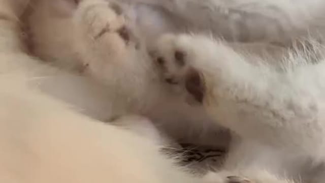 Sleepy