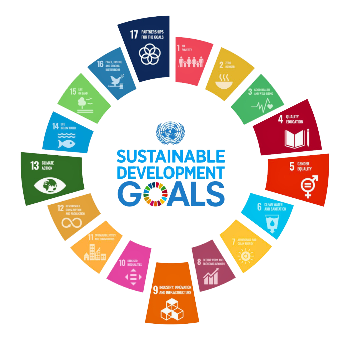 SDG 17
