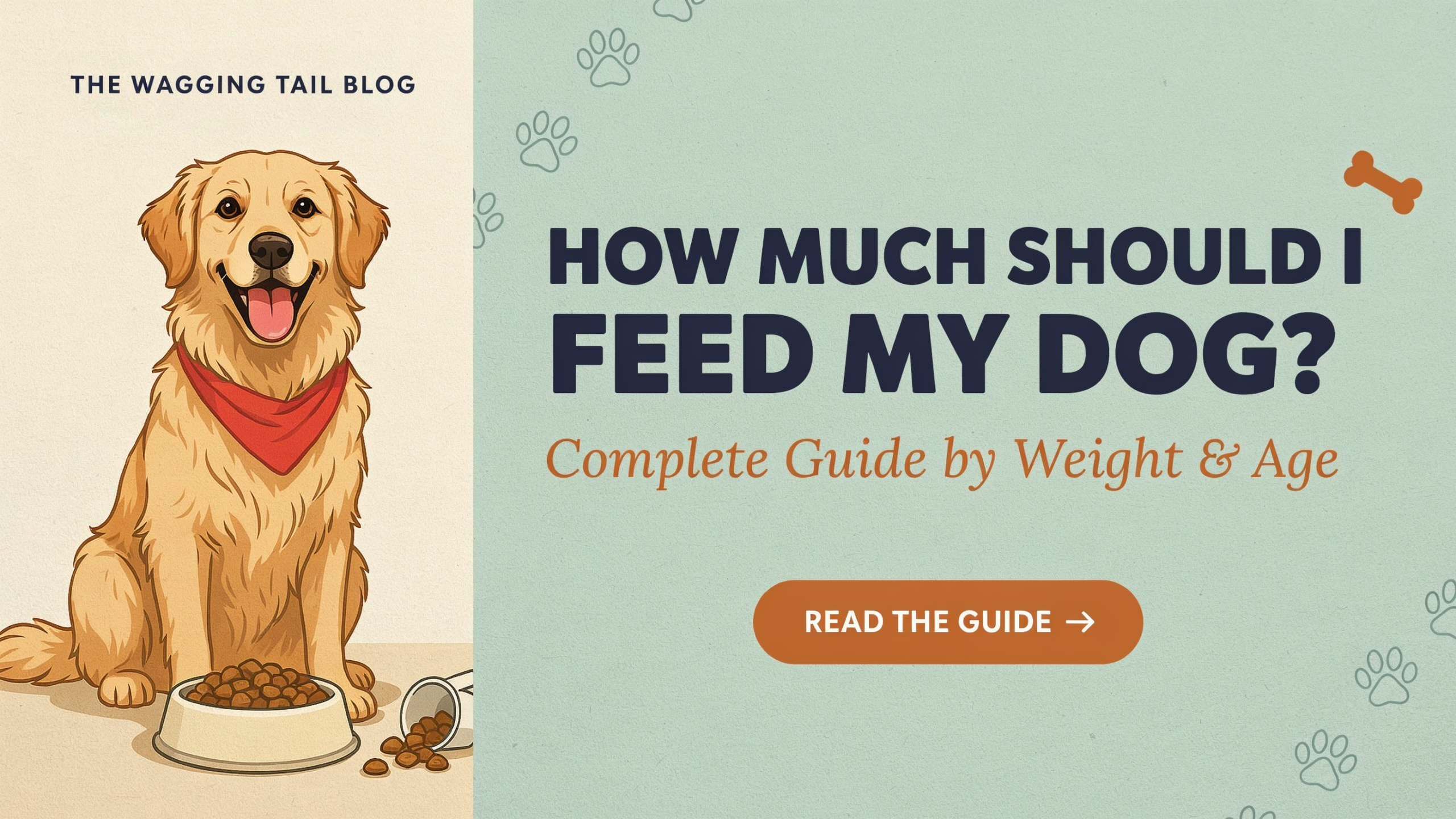 How Much Should I Feed My Dog? Complete Guide by Weight & Age | DogsCalculator