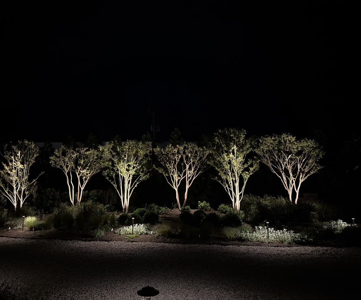 Locust Valley landscape lighting for a secure evening approach