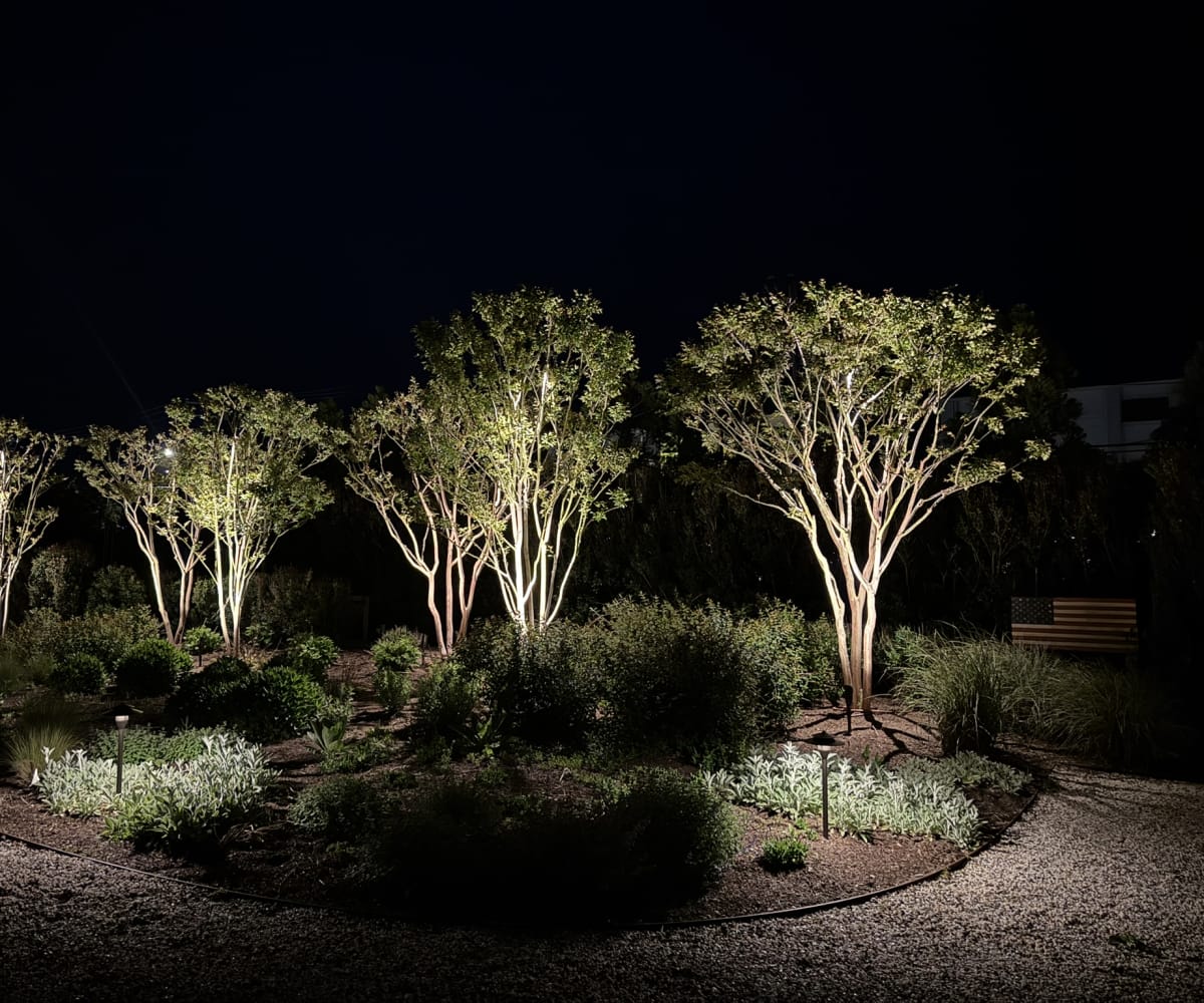 East Quogue landscape lighting for evening movement