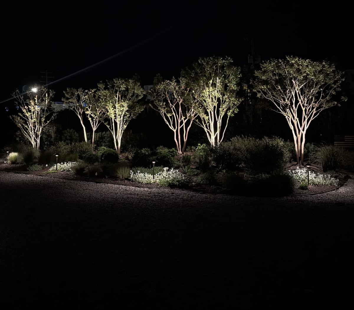 East Quogue landscape lighting at a coastal property