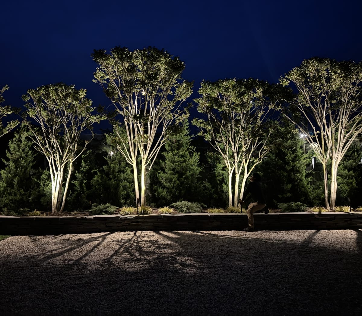 Low-glare landscape lighting designed for a Hamptons property