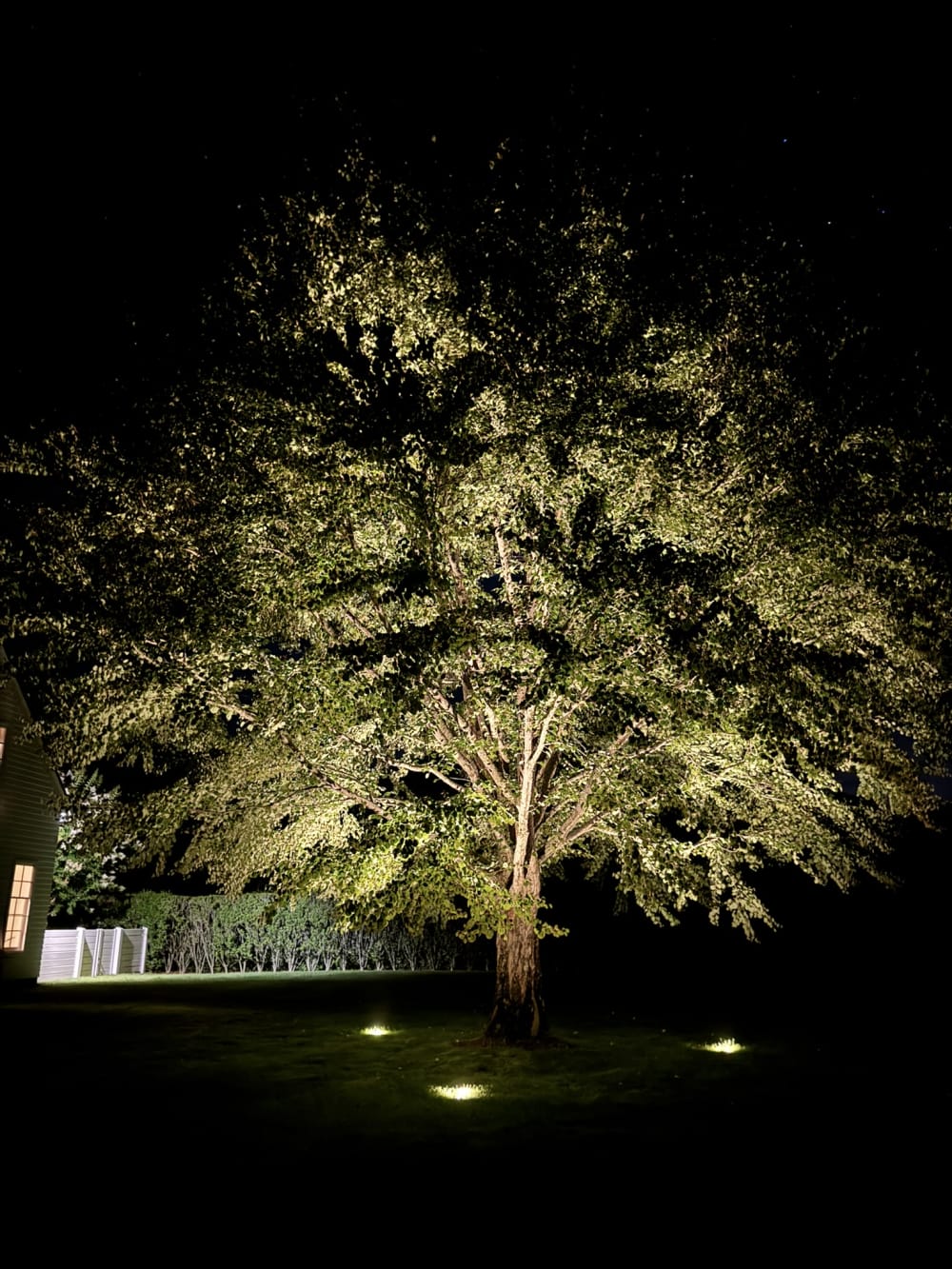 Landscape lighting along a driveway and parking area at a Hamptons residence