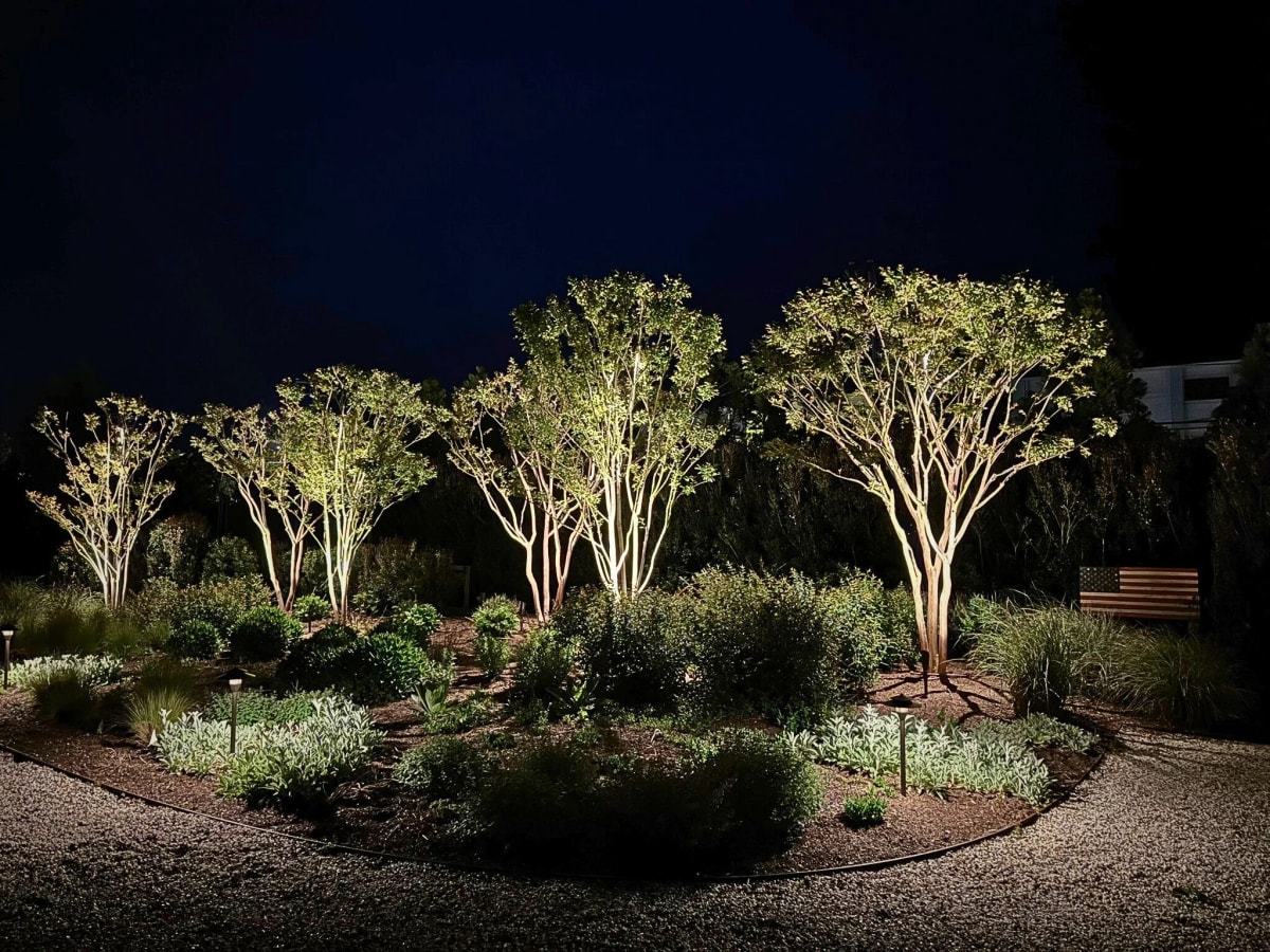 Layered garden-bed lighting at night on a Hamptons property