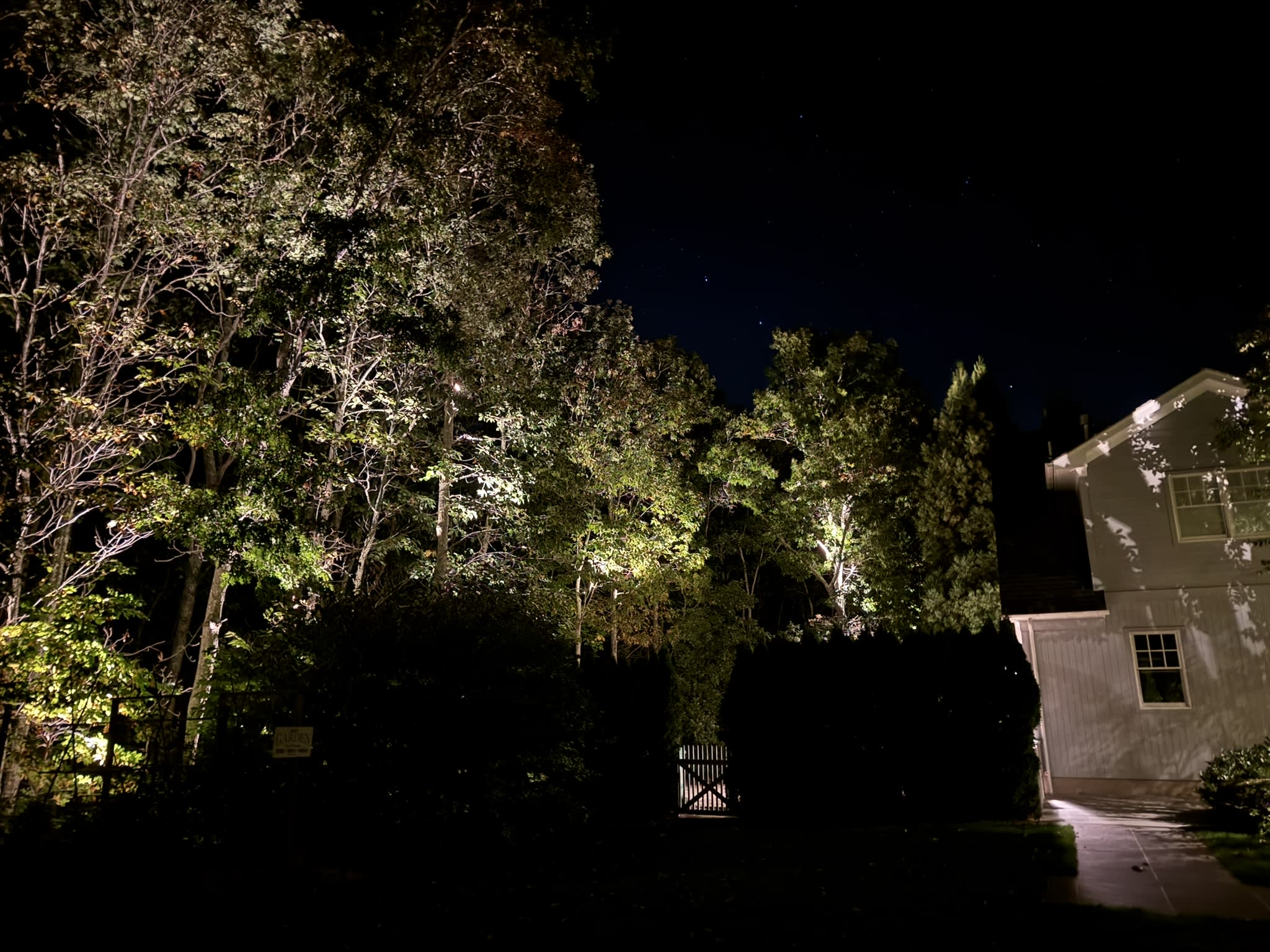 Nighttime landscape lighting reveals mature trees, planting, a path, and the exterior of a coastal home