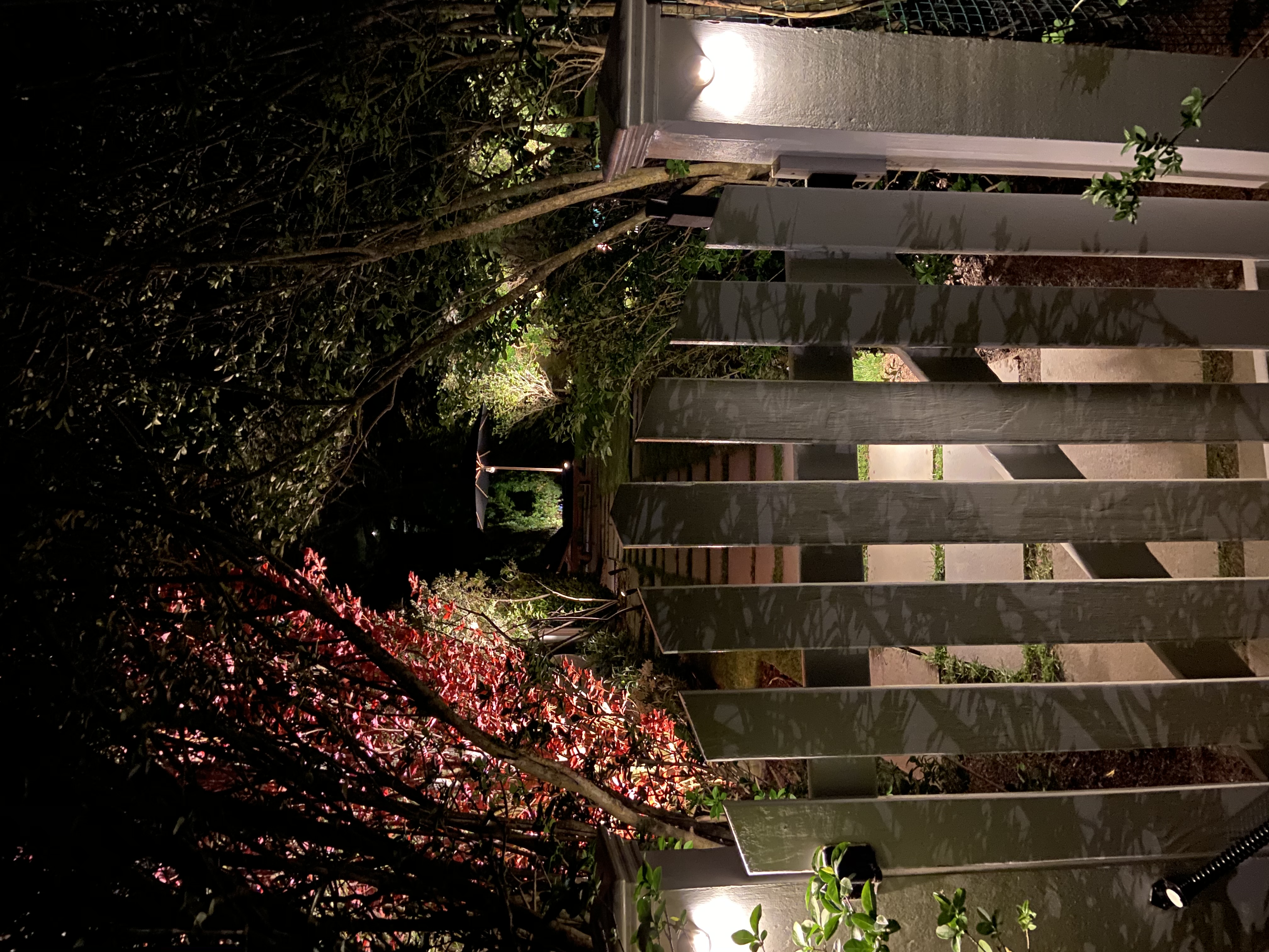 Hamptons landscape lighting highlighting mature trees, lawn, and outdoor gathering areas at night