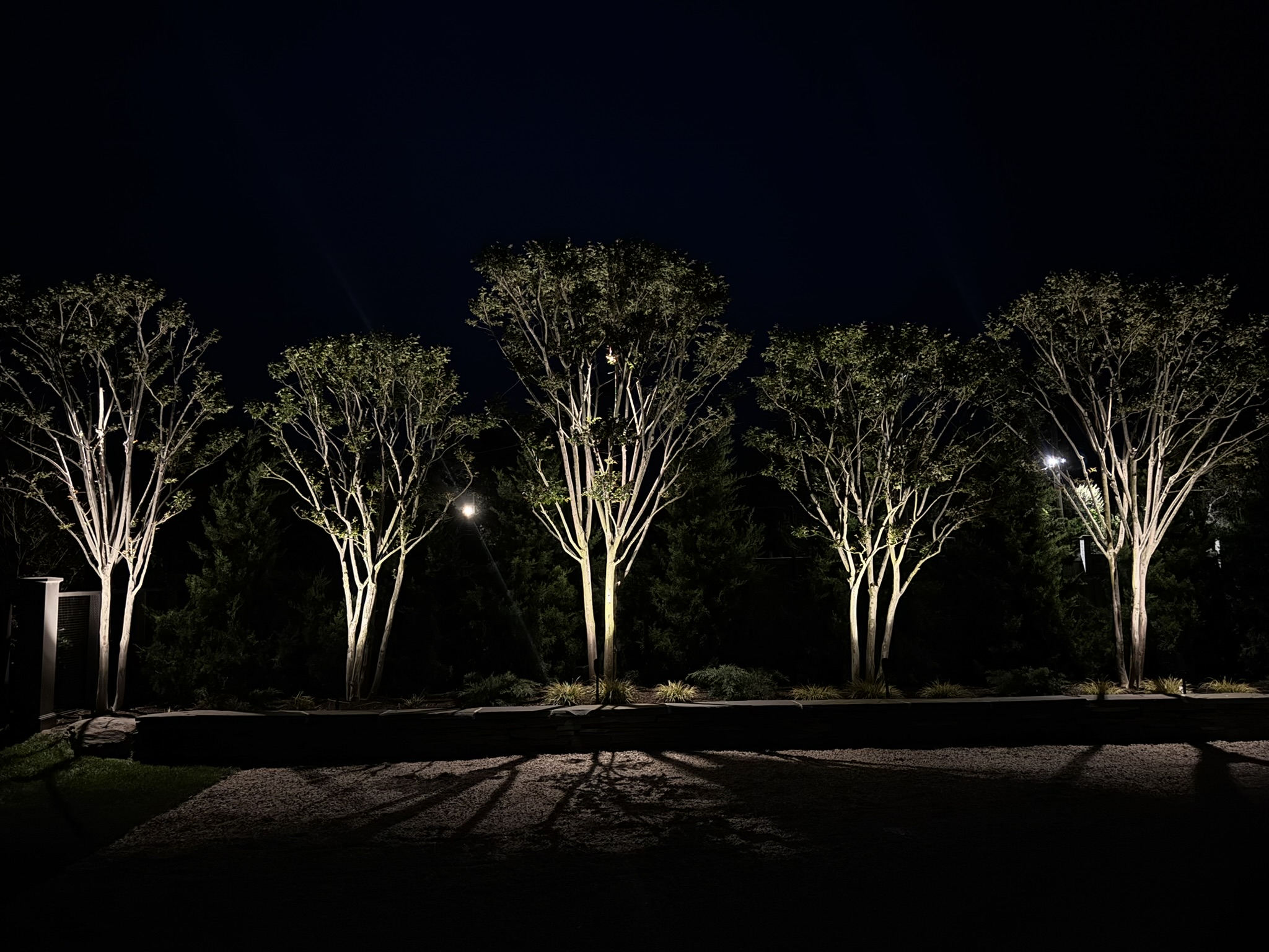 Landscape lighting creating clear, layered outdoor visibility