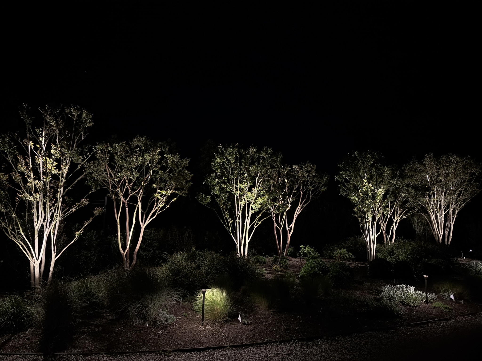 Landscape lighting creating a refined evening path and garden view