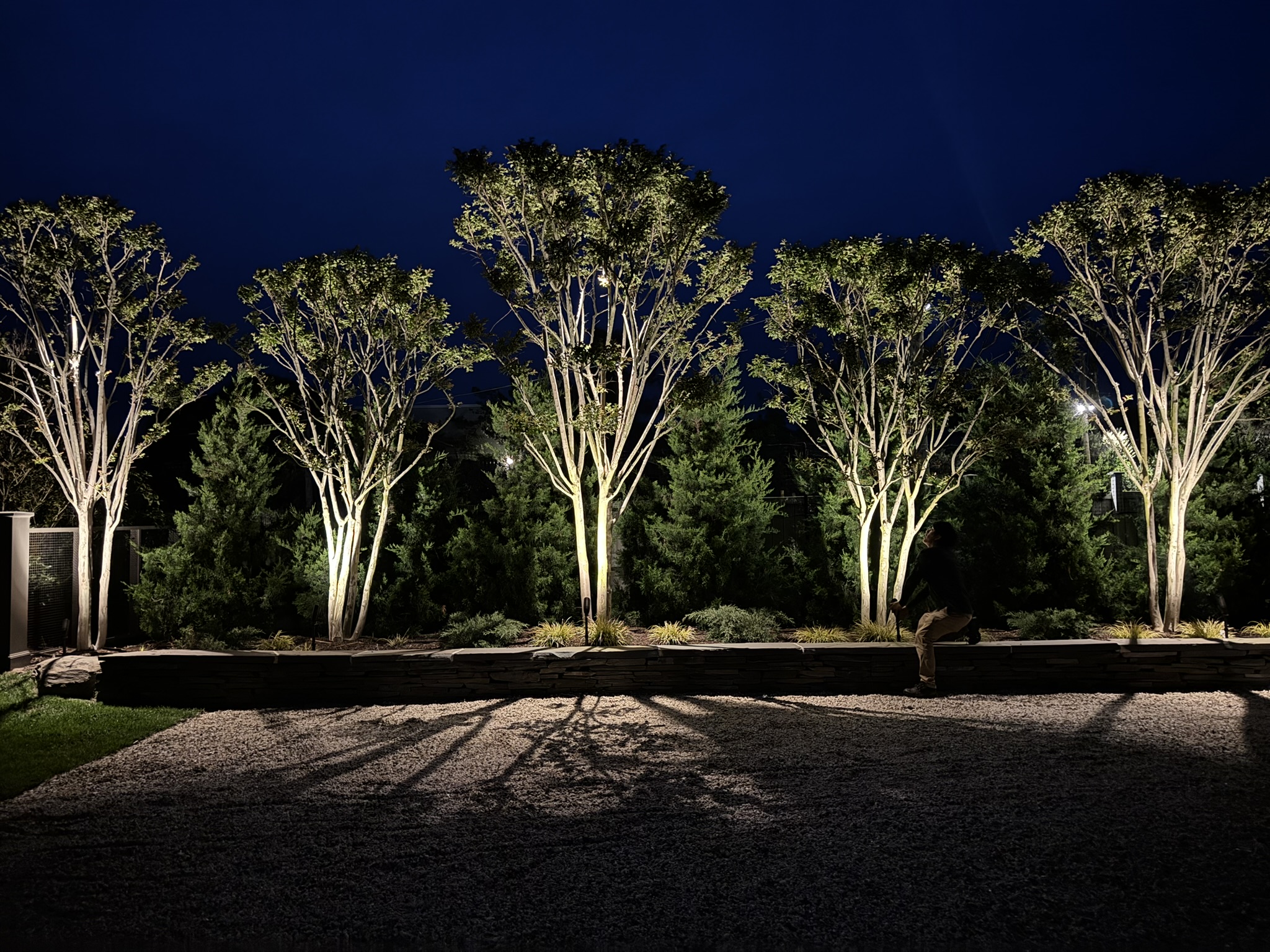 Professional nighttime aiming for residential landscape lighting
