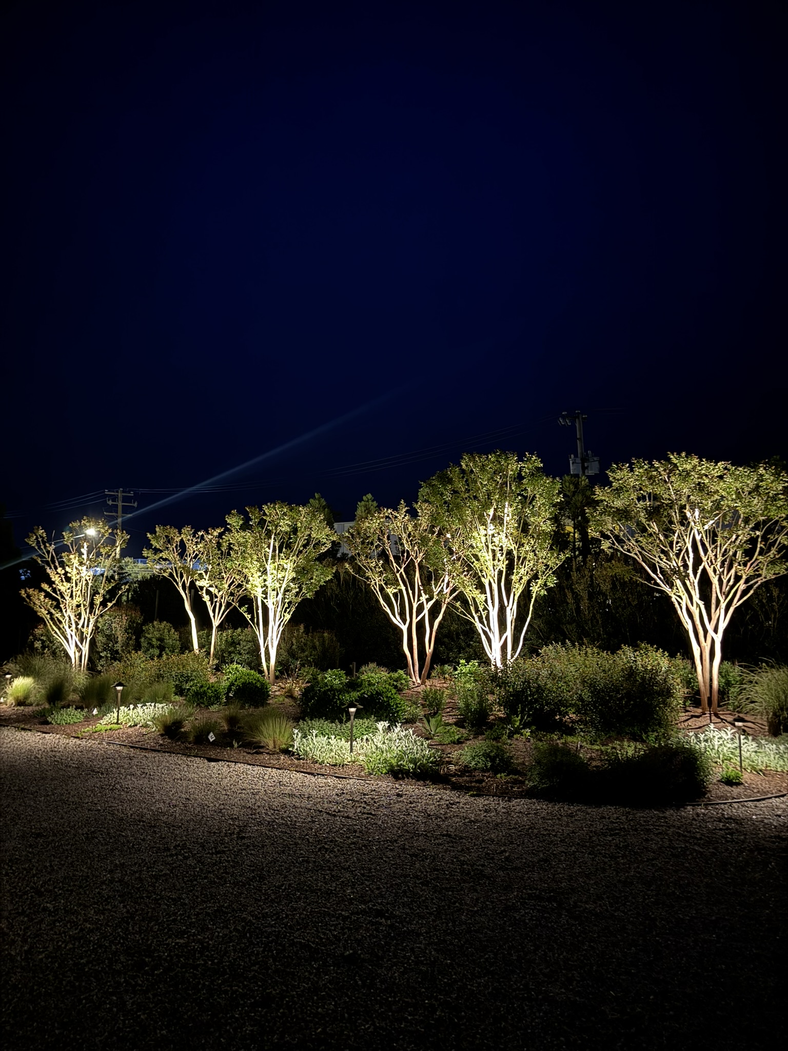 Outdoor landscape and architecture illuminated at night