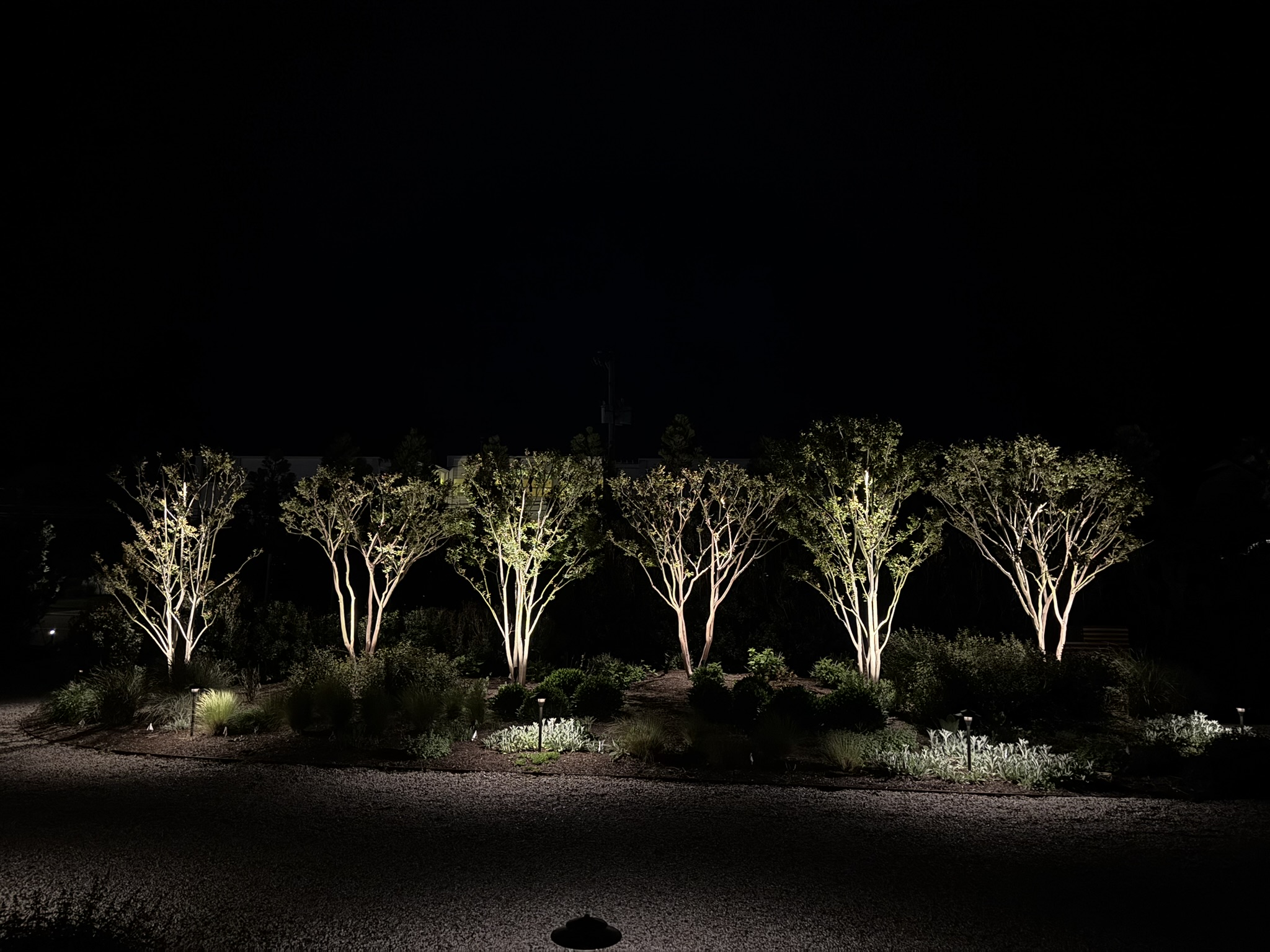 Residential exterior illuminated with layered landscape lighting